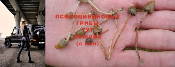 меф VHQ Богданович