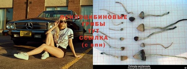 каннабис Богородск