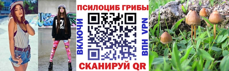 Псилоцибиновые грибы MAGIC MUSHROOMS  Кимры 